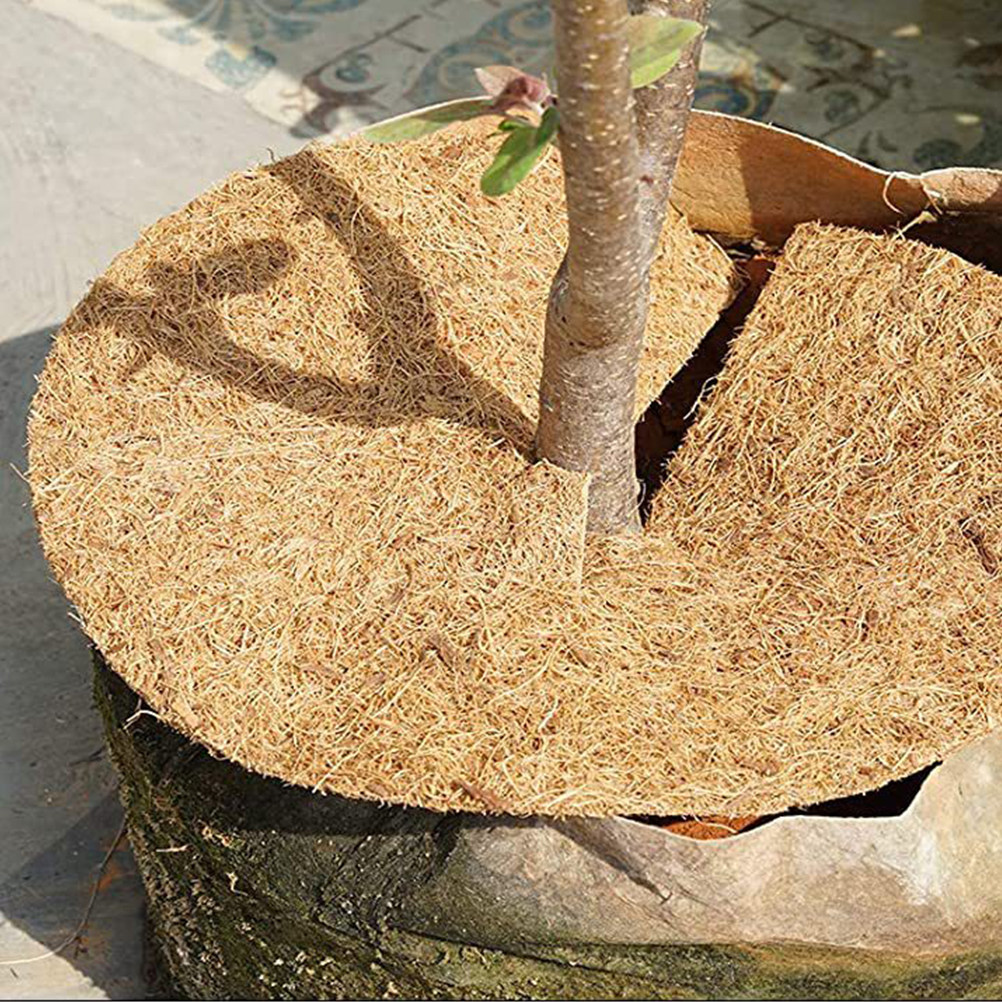 Substrate Coconut Fiber - Doğal Hindistan Cevizi Lifi Yastık, Teraryumlar,