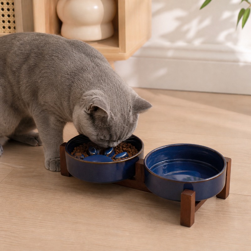 2027 Japon Tarzı Fırın Seramik - Royal Canin Food Medium incelemesi ve fiyatı