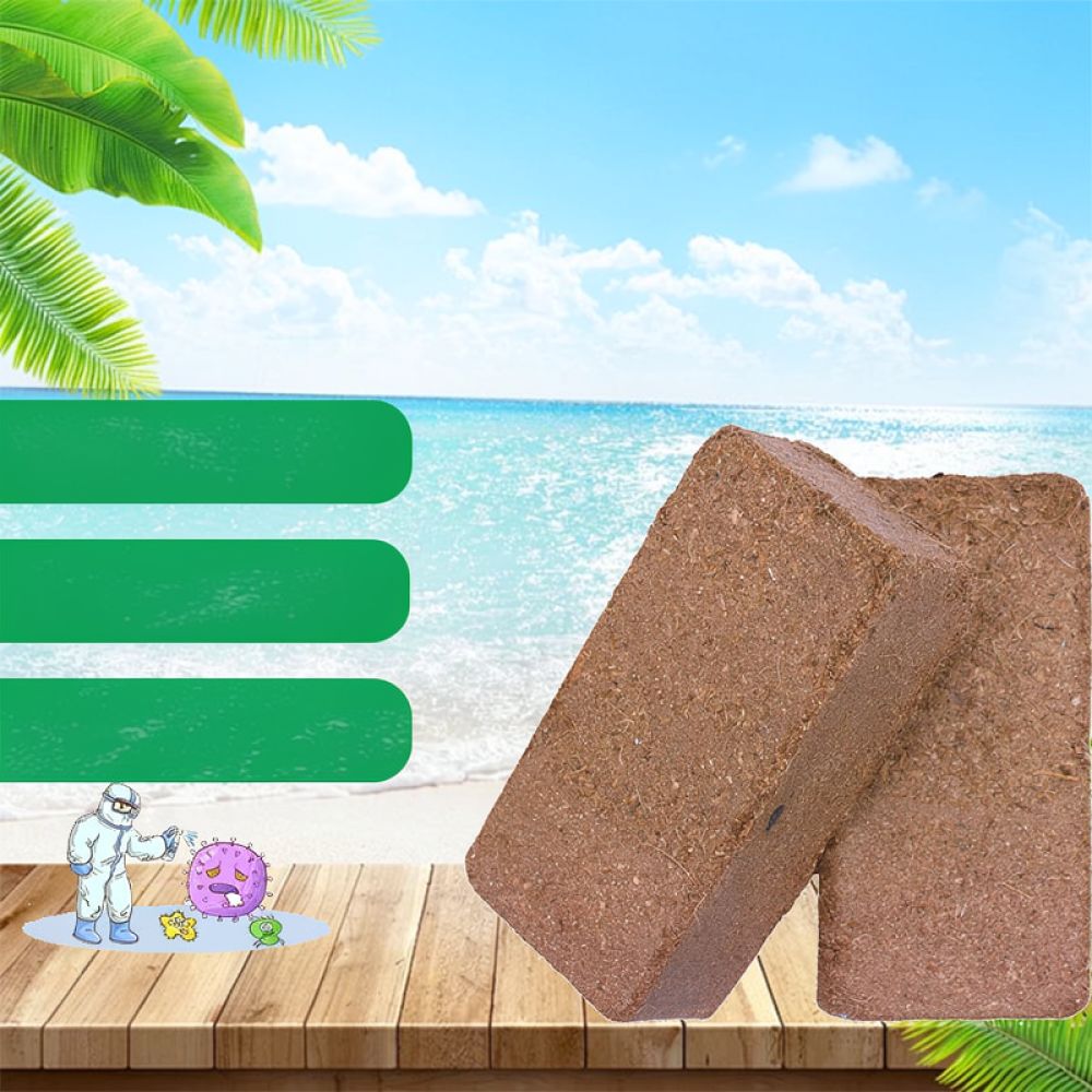 Bahçecilik, Saksı Bitkileri, S - Substrate Coconut Fiber incelemesi ve fiyatı